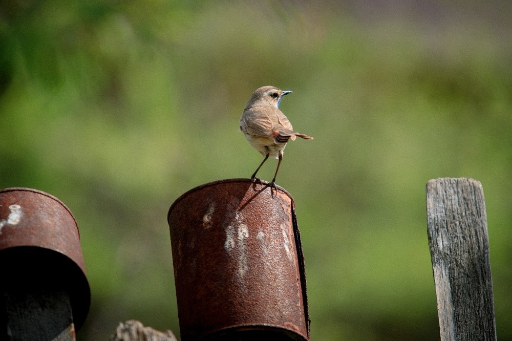 Photograph by Сергей Васильев