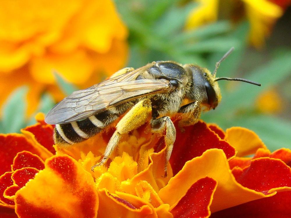 Фотография автора Павел Попов