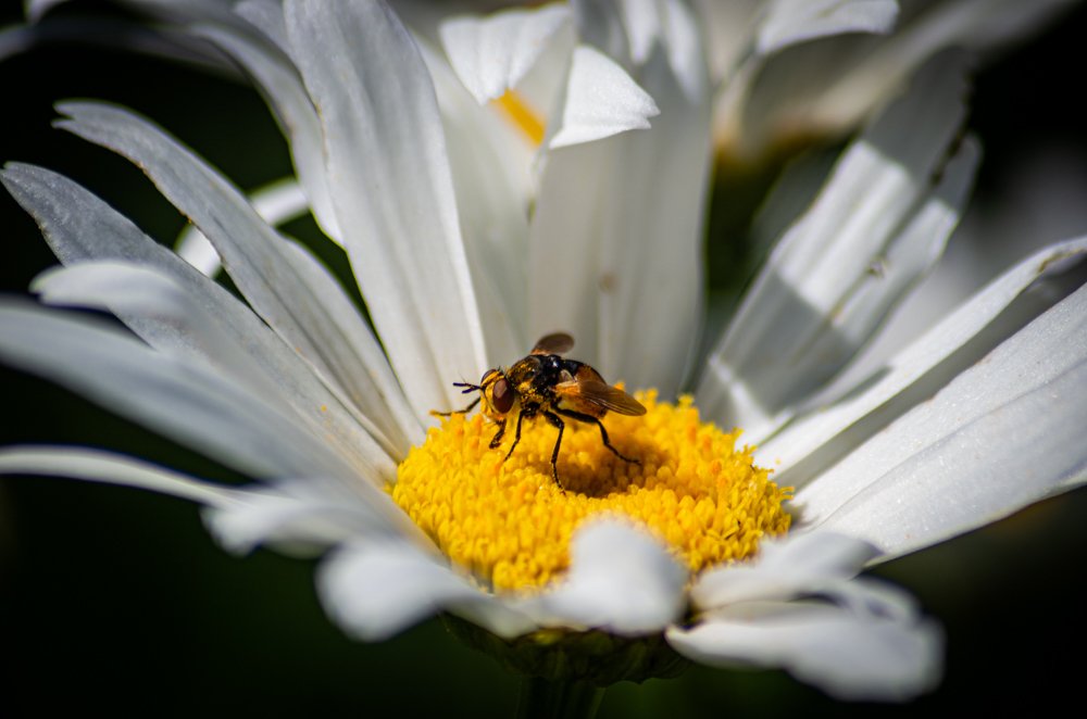 Photograph by Aleksei Degtjarjov