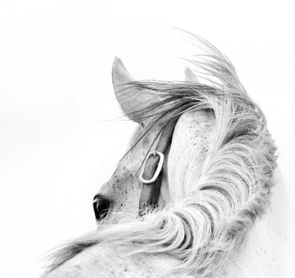 Photograph by Furqan Ali