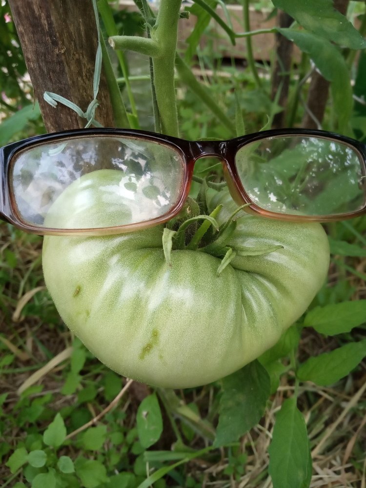 Photograph by Любовь Шаврина