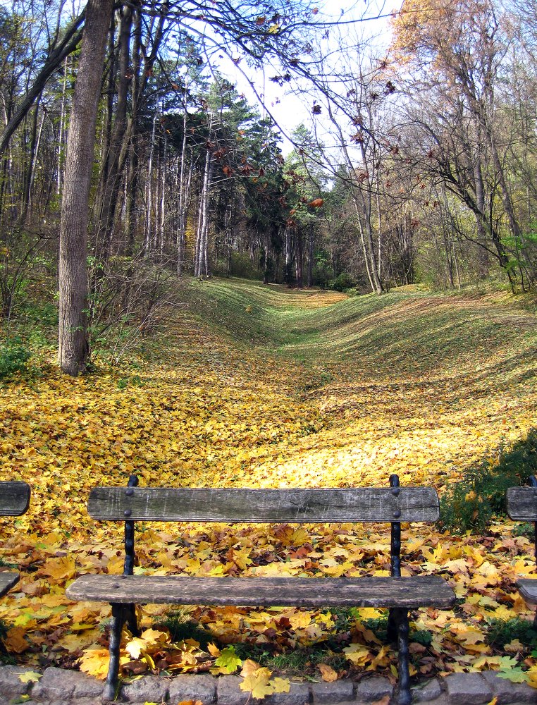 Photograph by Валентина Болотова
