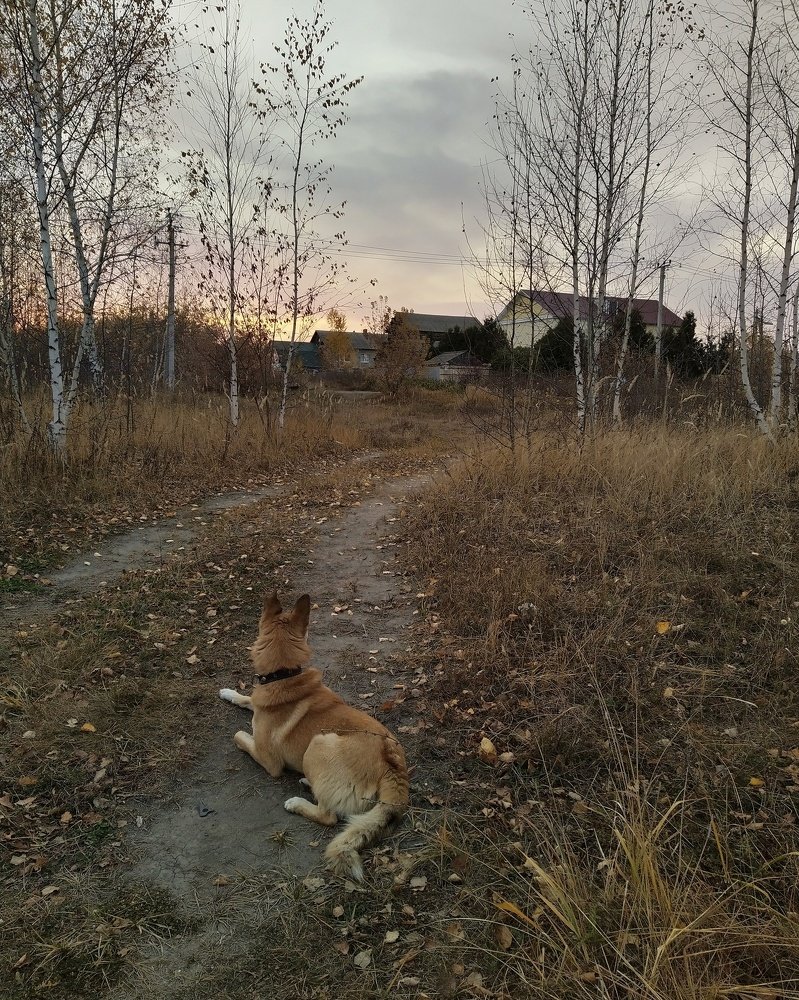 Photograph by TATIANA BELYAKOVA