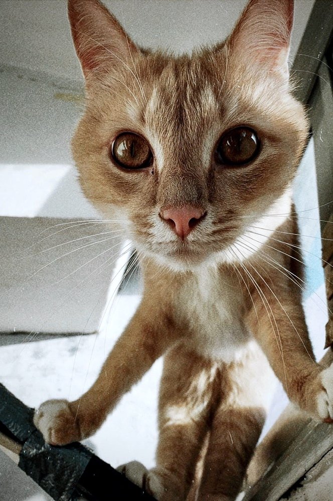 Photograph by Станислав Ситников