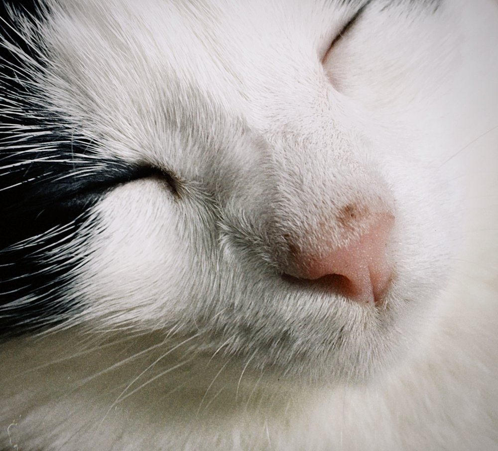 Photograph by Станислав Ситников