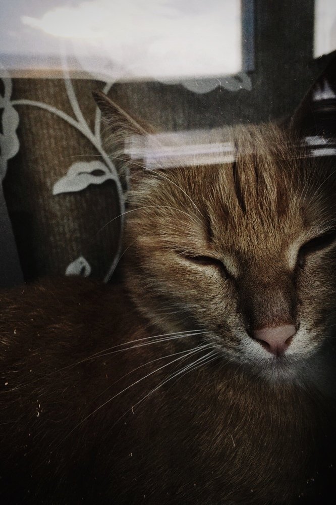 Photograph by Станислав Ситников