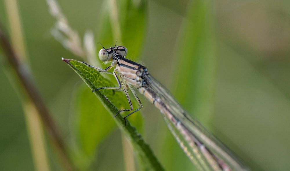 Photograph by Владимир