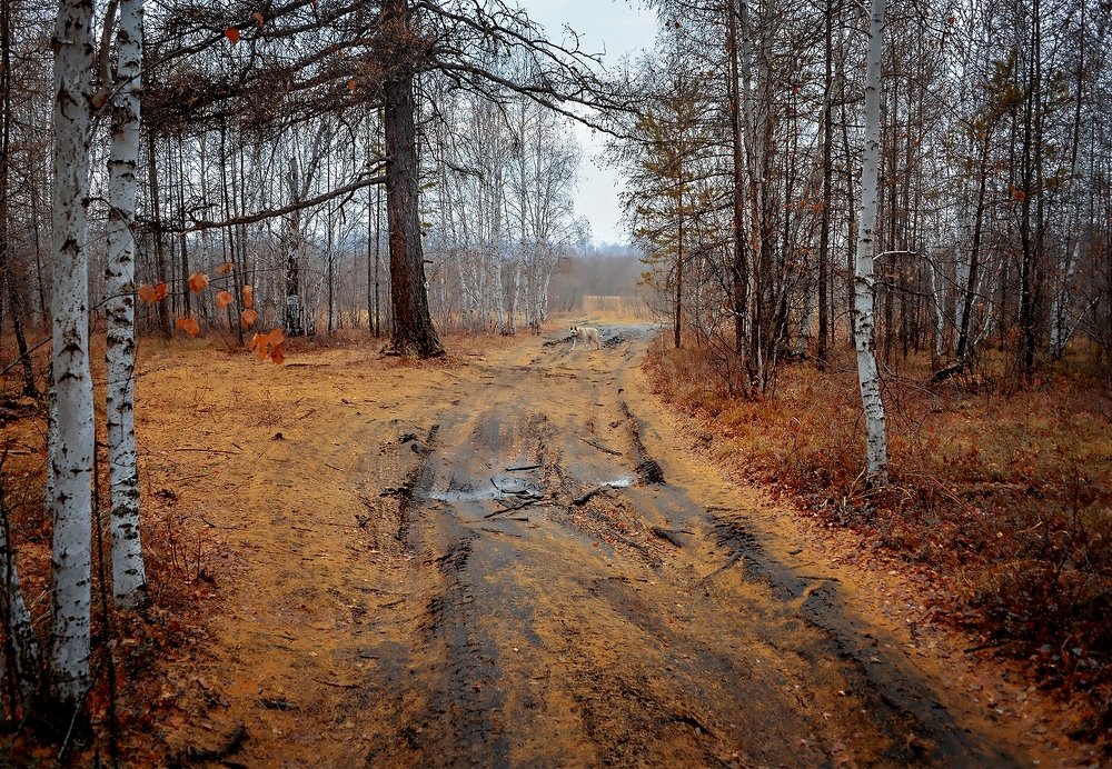 Дыша осенней прохладой