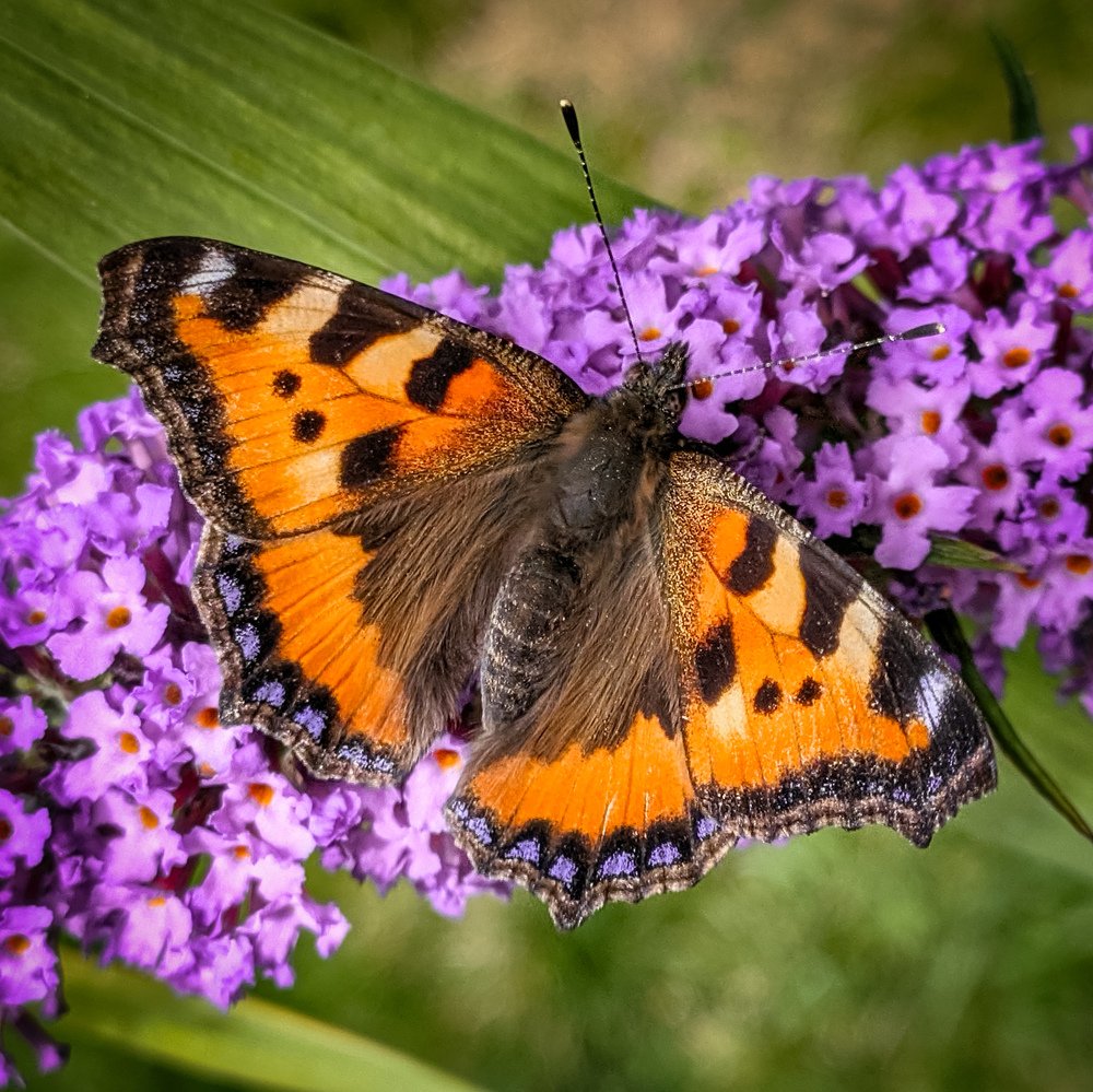 Photograph by Наталья Егорова