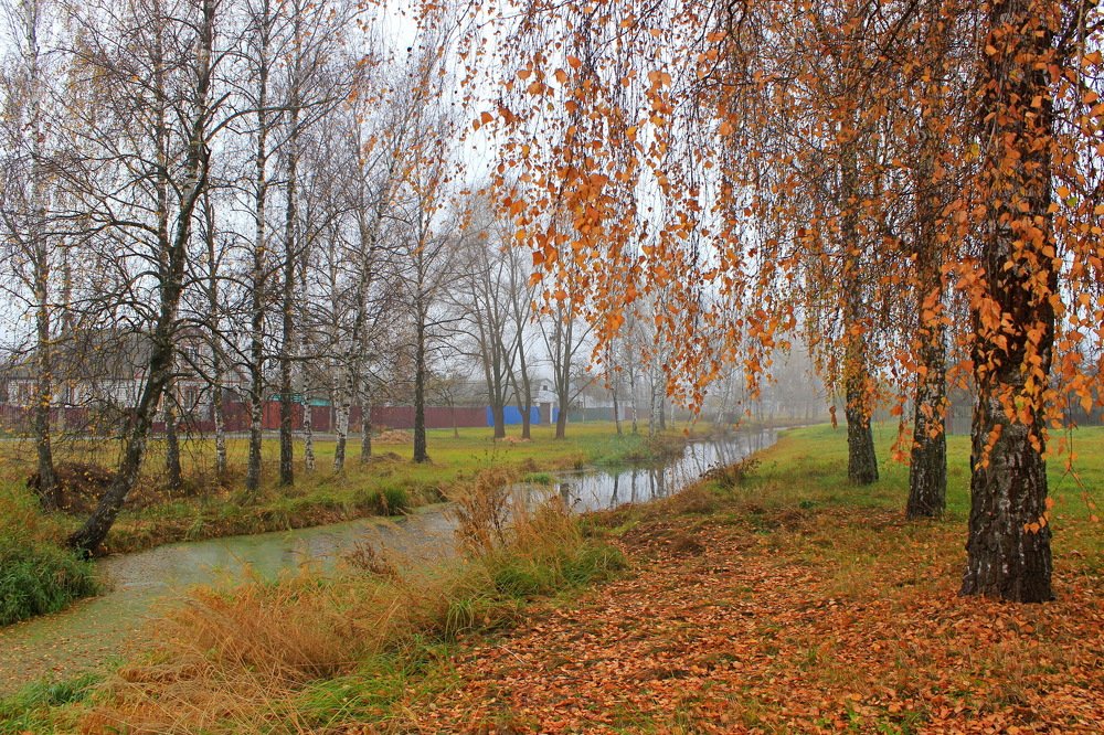 Осень в городе.