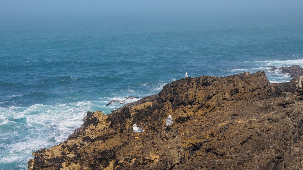 Photograph by Владимир