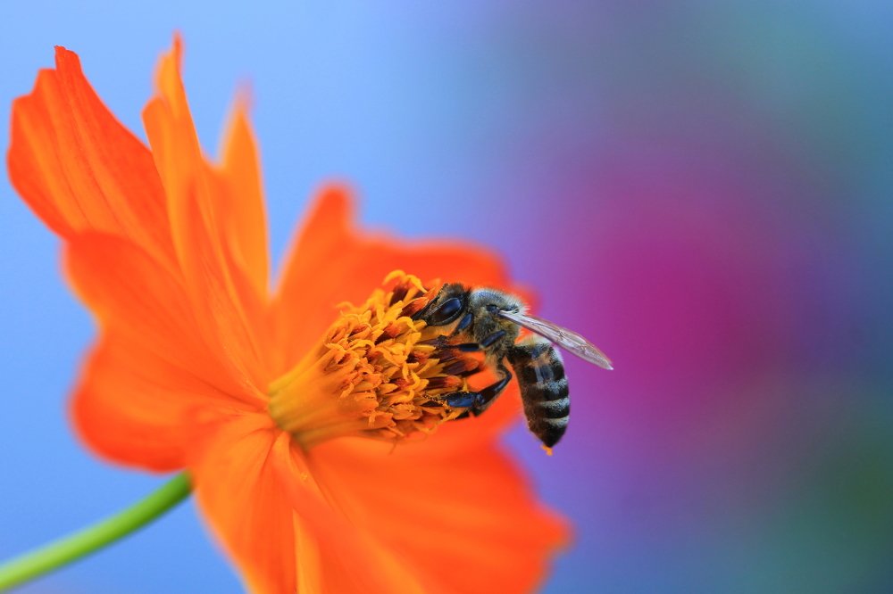 Photograph by Леунина Людмила