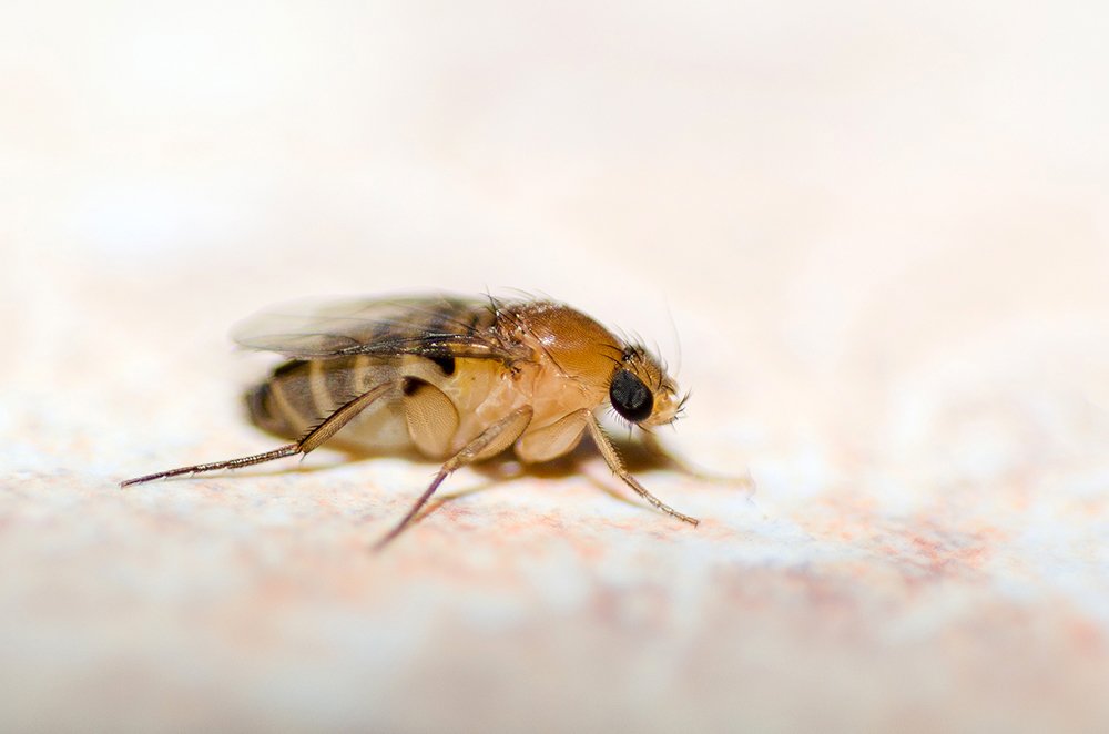 Photograph by Sahar Jafari