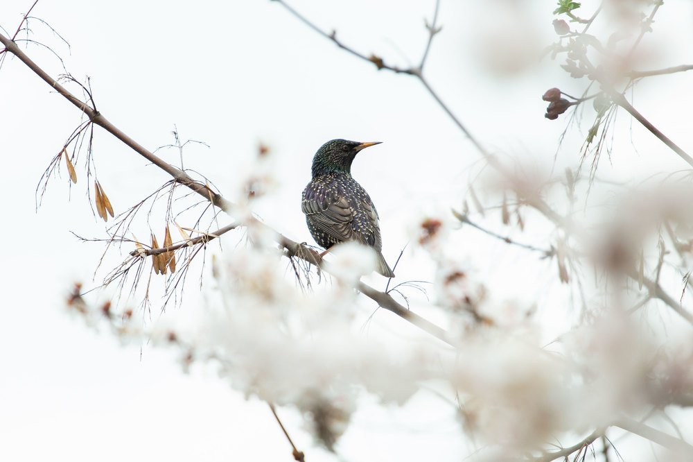 Photograph by Валерия Зайцева