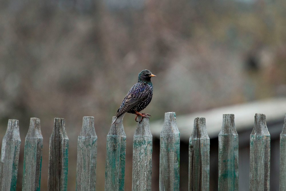 Photograph by Валерия Зайцева