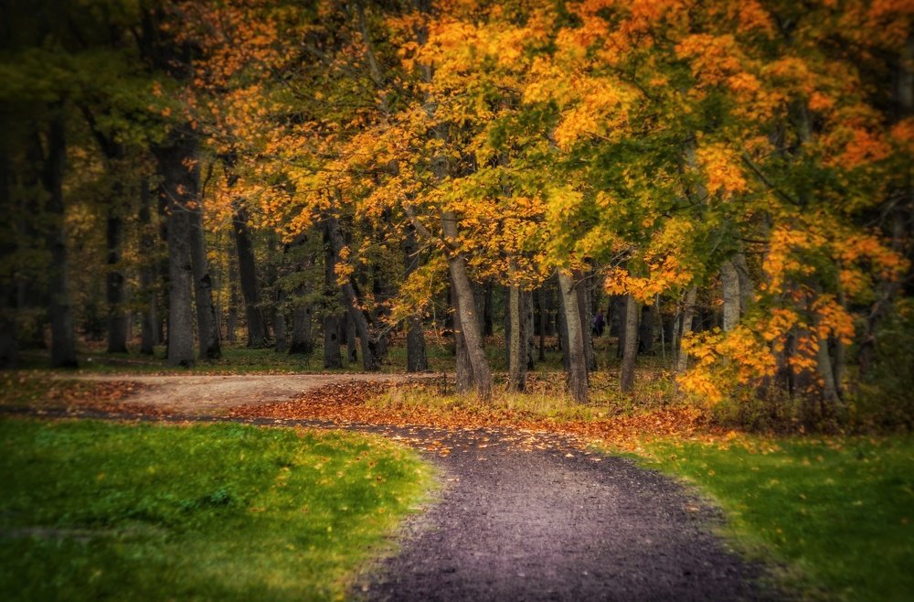 Photograph by Ольга Линк