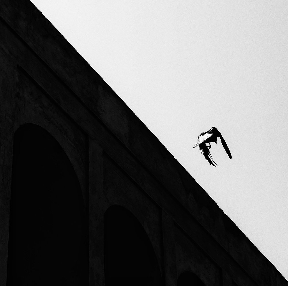 Photograph by Mahnaz Seif