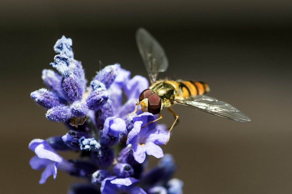 Photograph by Ernestas Balcikonis