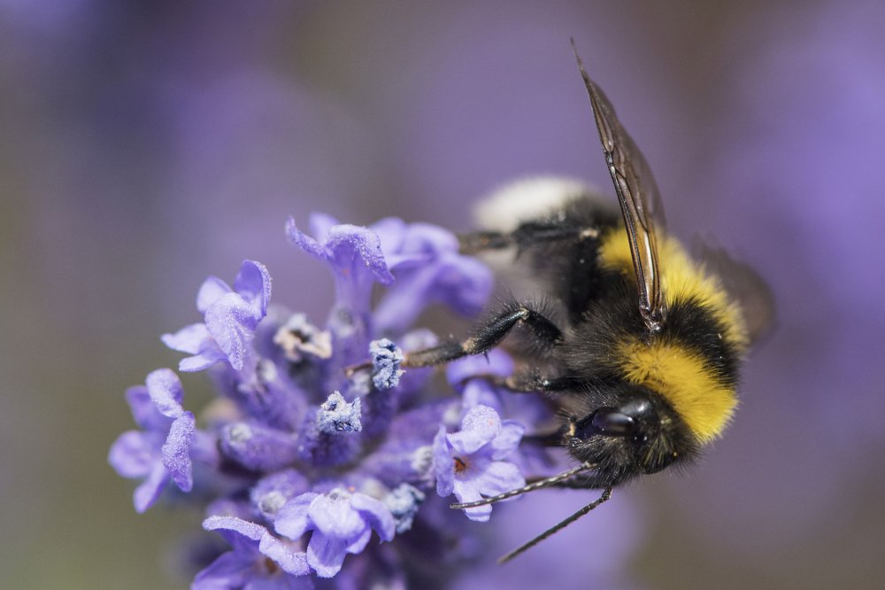 Photograph by Ernestas Balcikonis