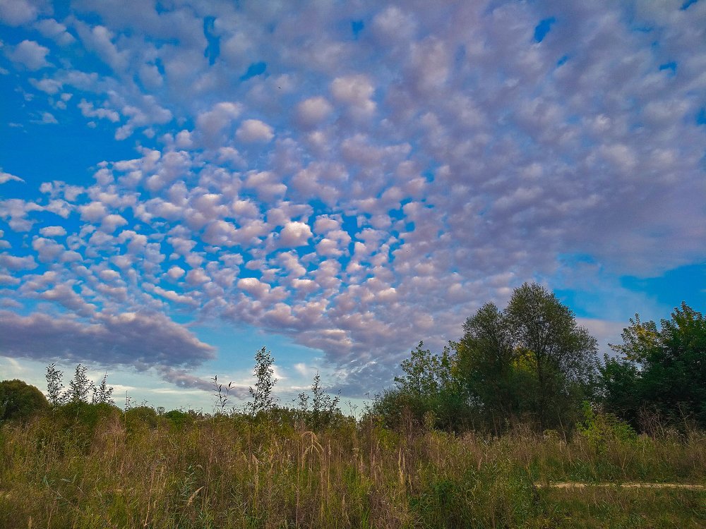 Волшебное осеннее небо