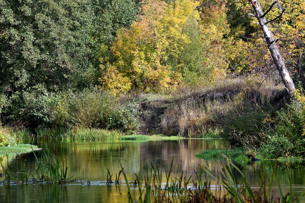 Photograph by Вячеслав Ладанов