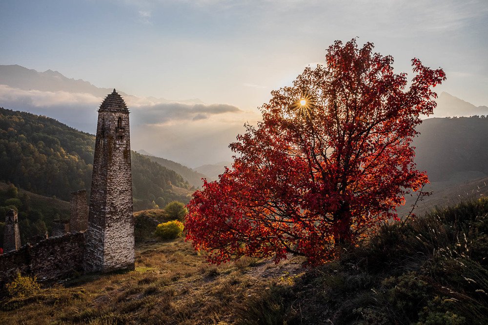 Photograph by Марина Маликова