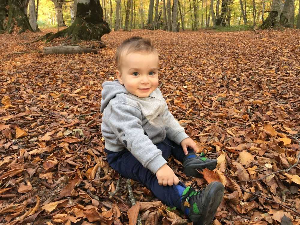 В Сабадурском лесу осенью