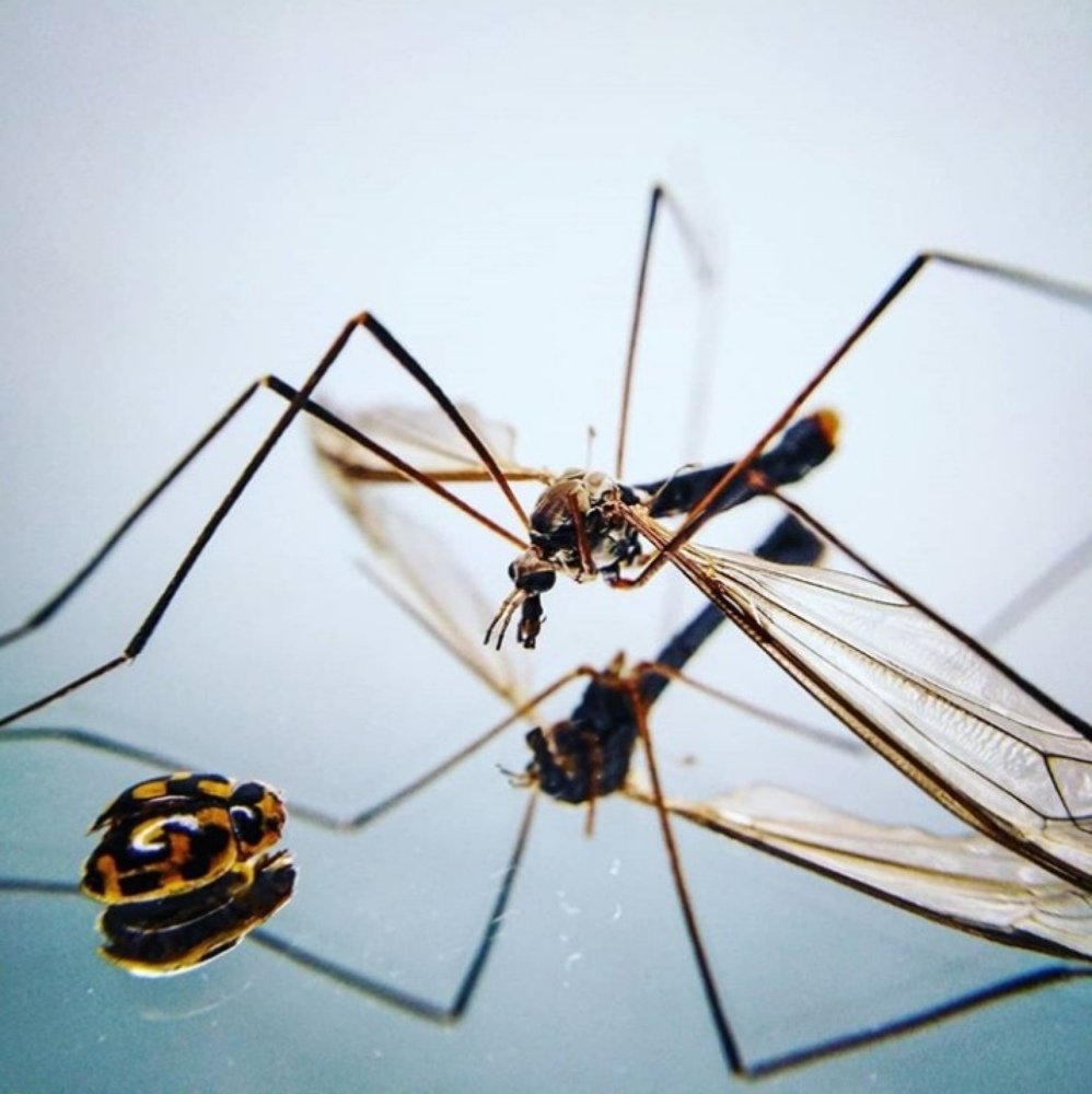 Photograph by Жанна Усатова