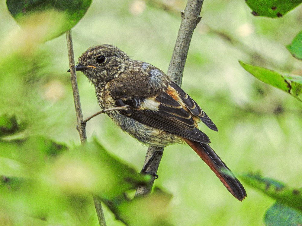 Photograph by Andrey Matveenko