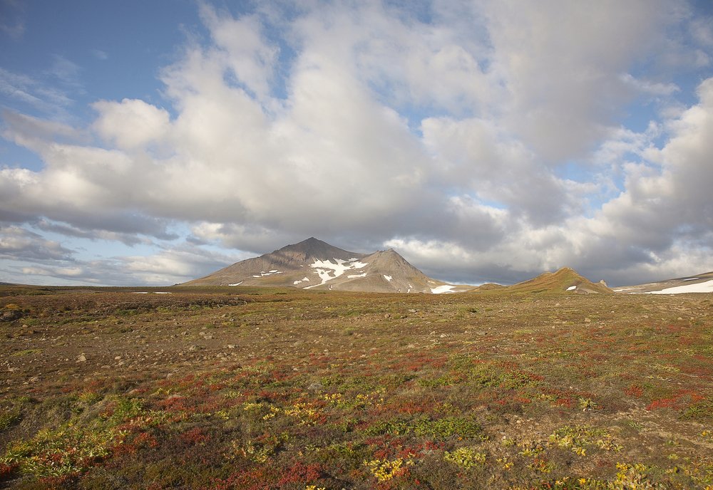 Photograph by Анастасия Тупицына