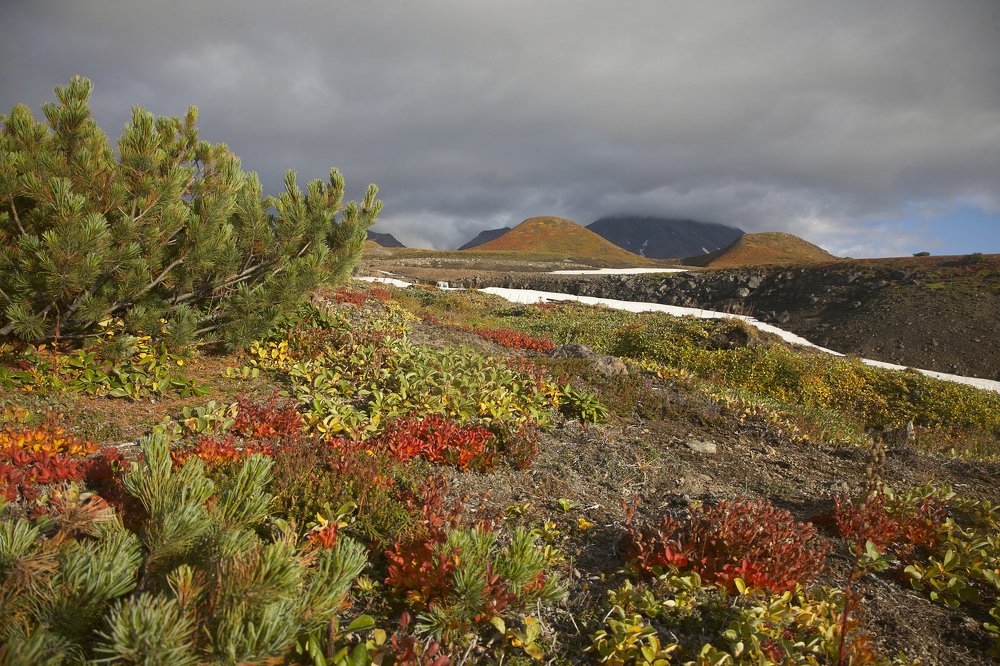 Photograph by Анастасия Тупицына