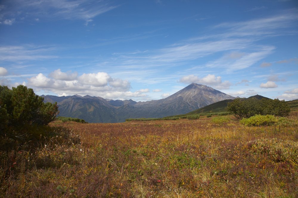 Photograph by Анастасия Тупицына