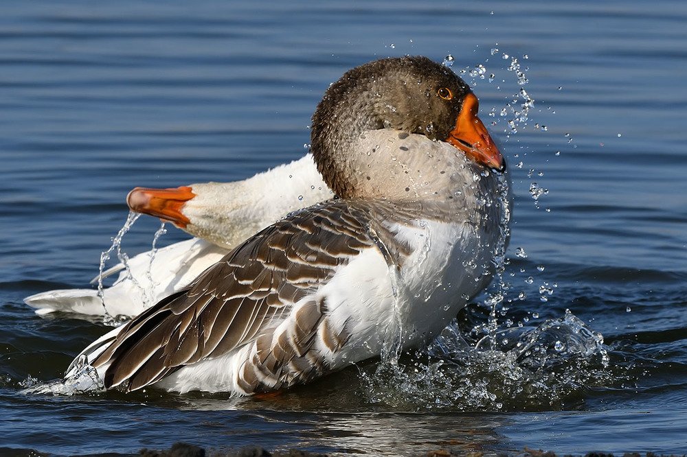Photograph by Вячеслав Ладанов