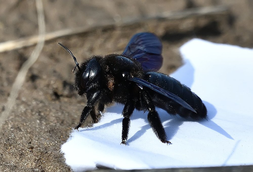 Photograph by Вячеслав Ладанов