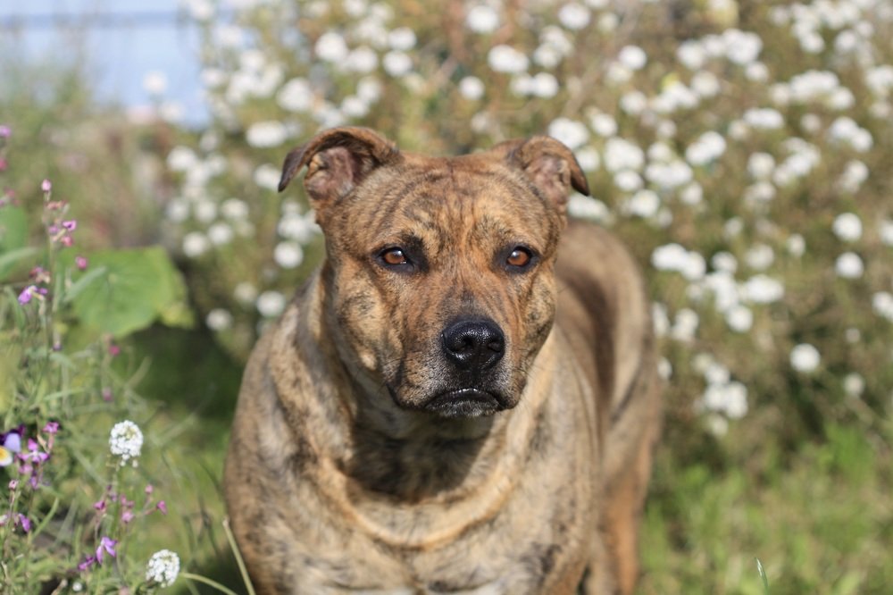 Photograph by Леунина Людмила