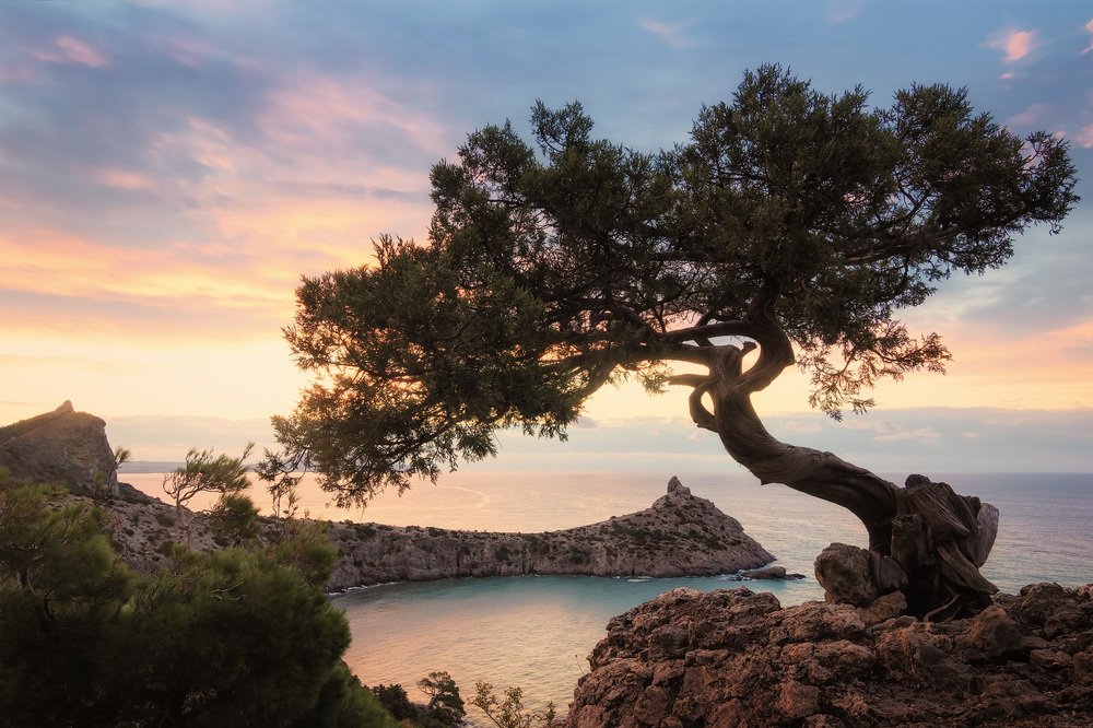 Photograph by Антон Кошетаров