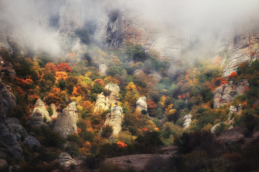 Photograph by Антон Кошетаров