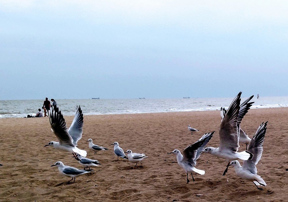 Photograph by Сергей Челахов