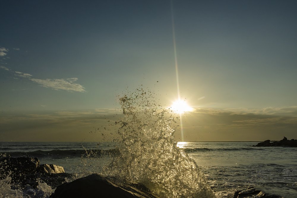 Photograph by Александр Щербаков