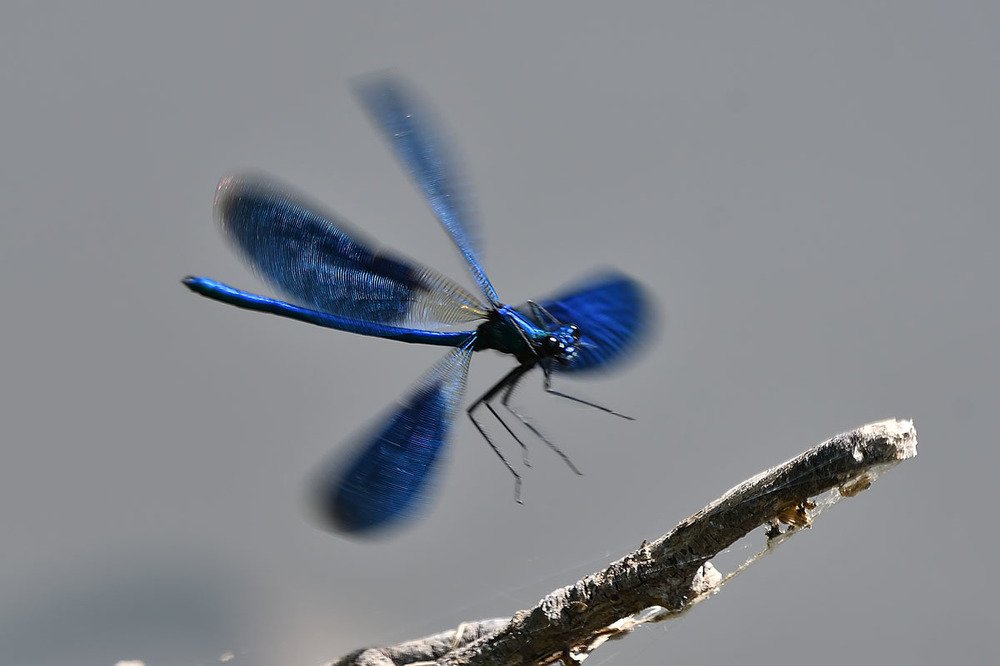 Photograph by Вячеслав Ладанов