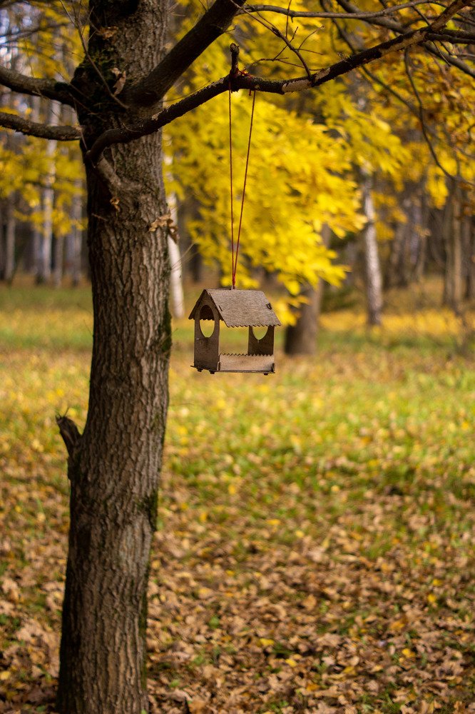 Photograph by Любовь Дворникова