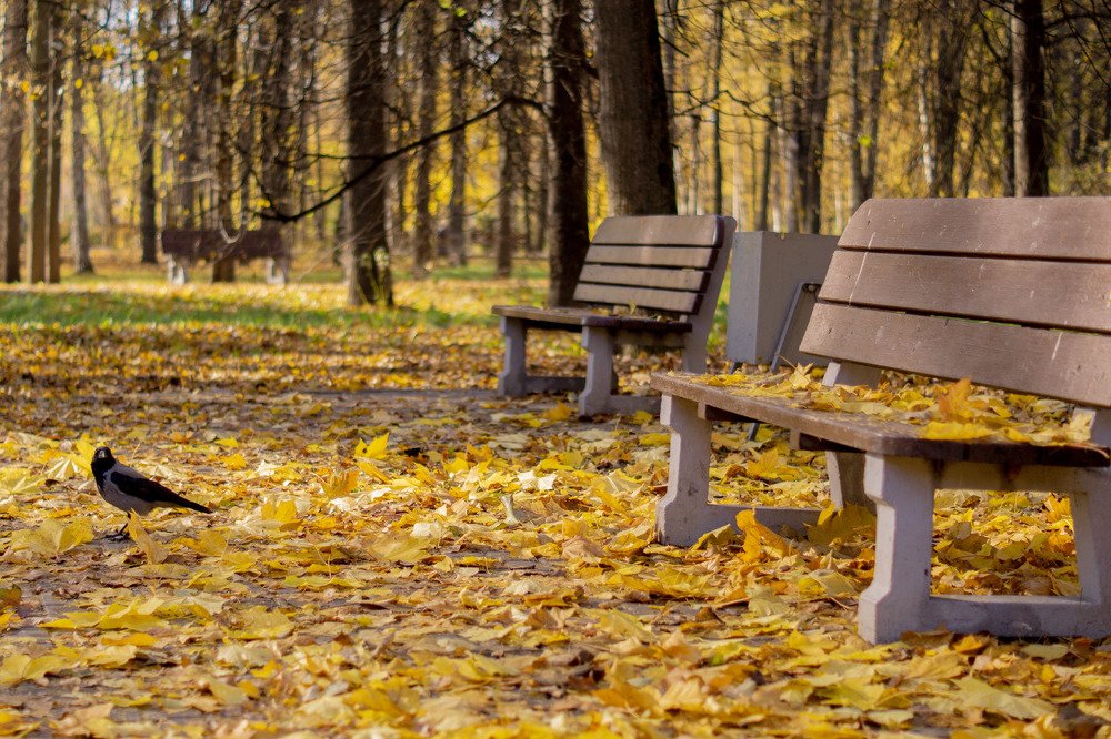 Photograph by Любовь Дворникова