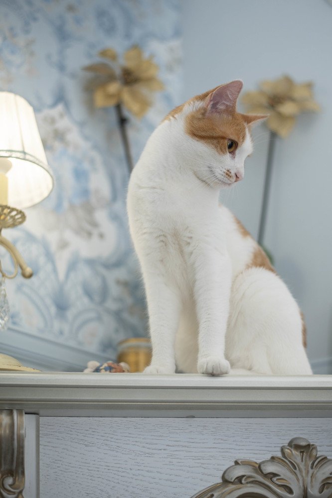 Photograph by Karen Khachaturyants