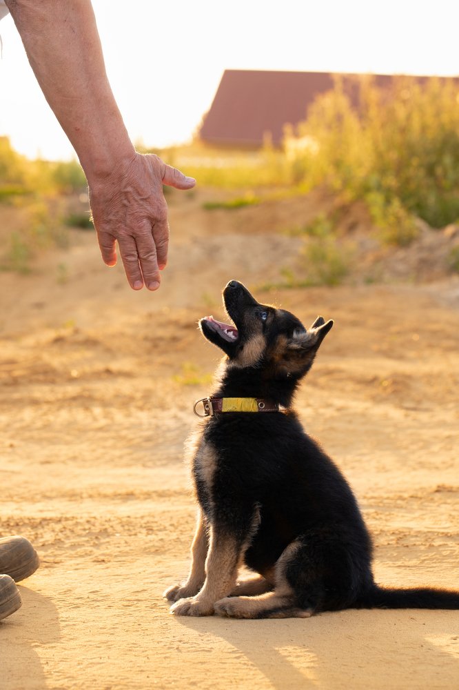 Photograph by Любовь Тернова