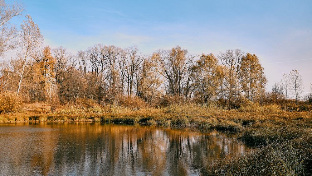 Photograph by Дмитрий Лепаков