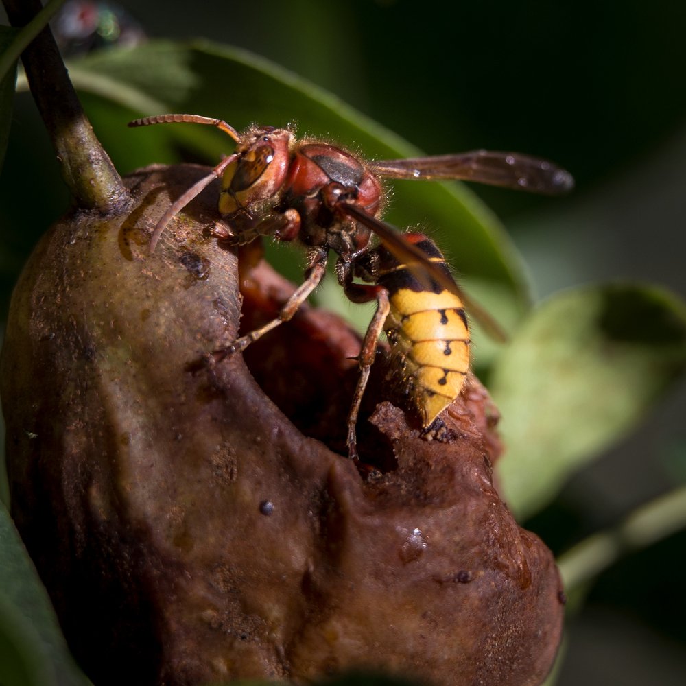 Photograph by vladau vlad-viorel