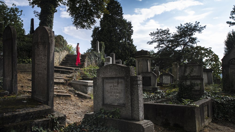 Photograph by vladau vlad-viorel