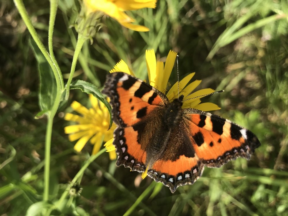 Photograph by Мария Шрейдер