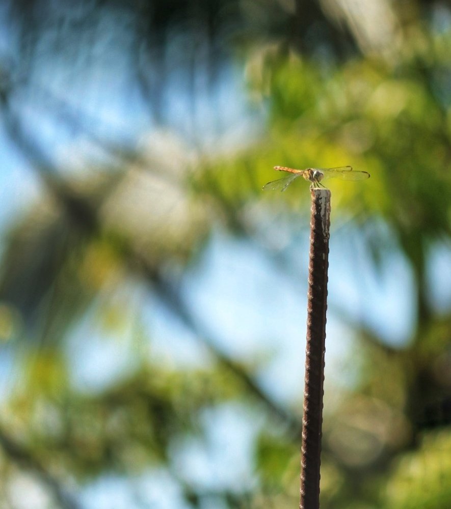 Photograph by DEBYENDU DAS
