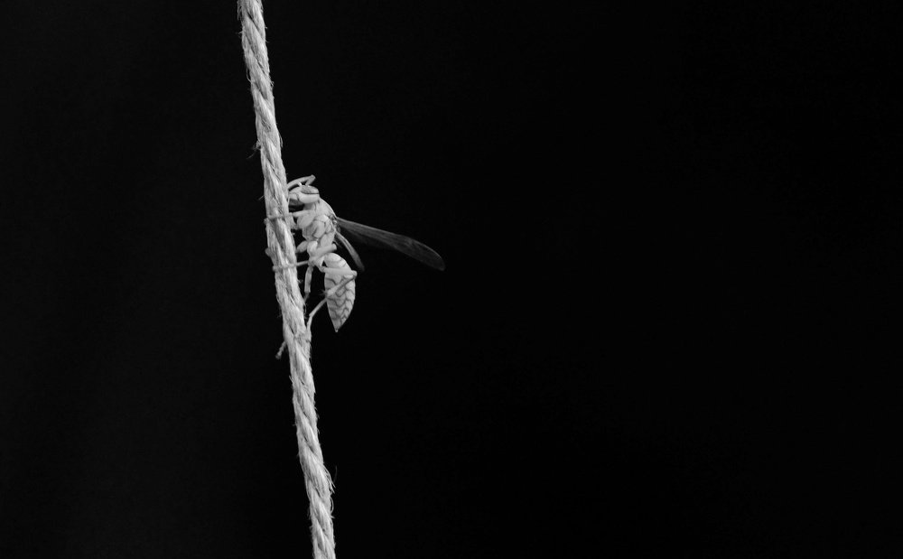 Photograph by DEBYENDU DAS